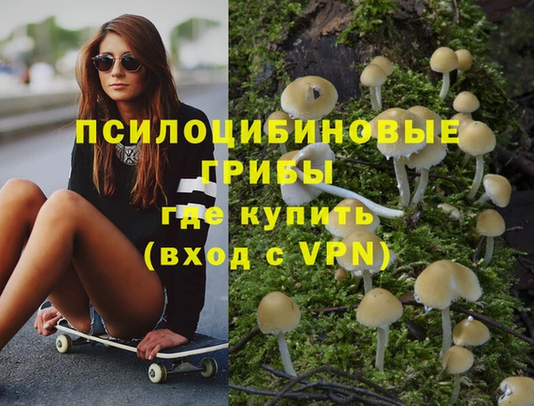 прущая мука Гусев
