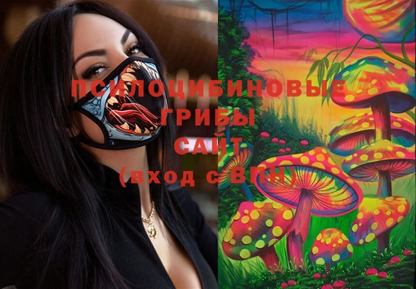 прущая мука Гусев