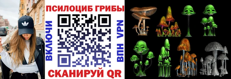 Псилоцибиновые грибы GOLDEN TEACHER  Москва 